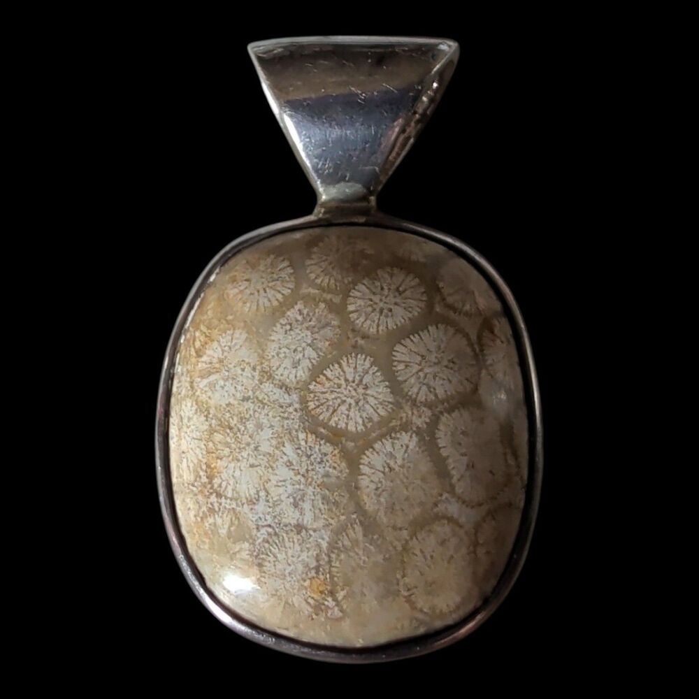Vintage Natural Fossilized Coral Sterling Silver Pendant, 11.54g Agatized Fossil